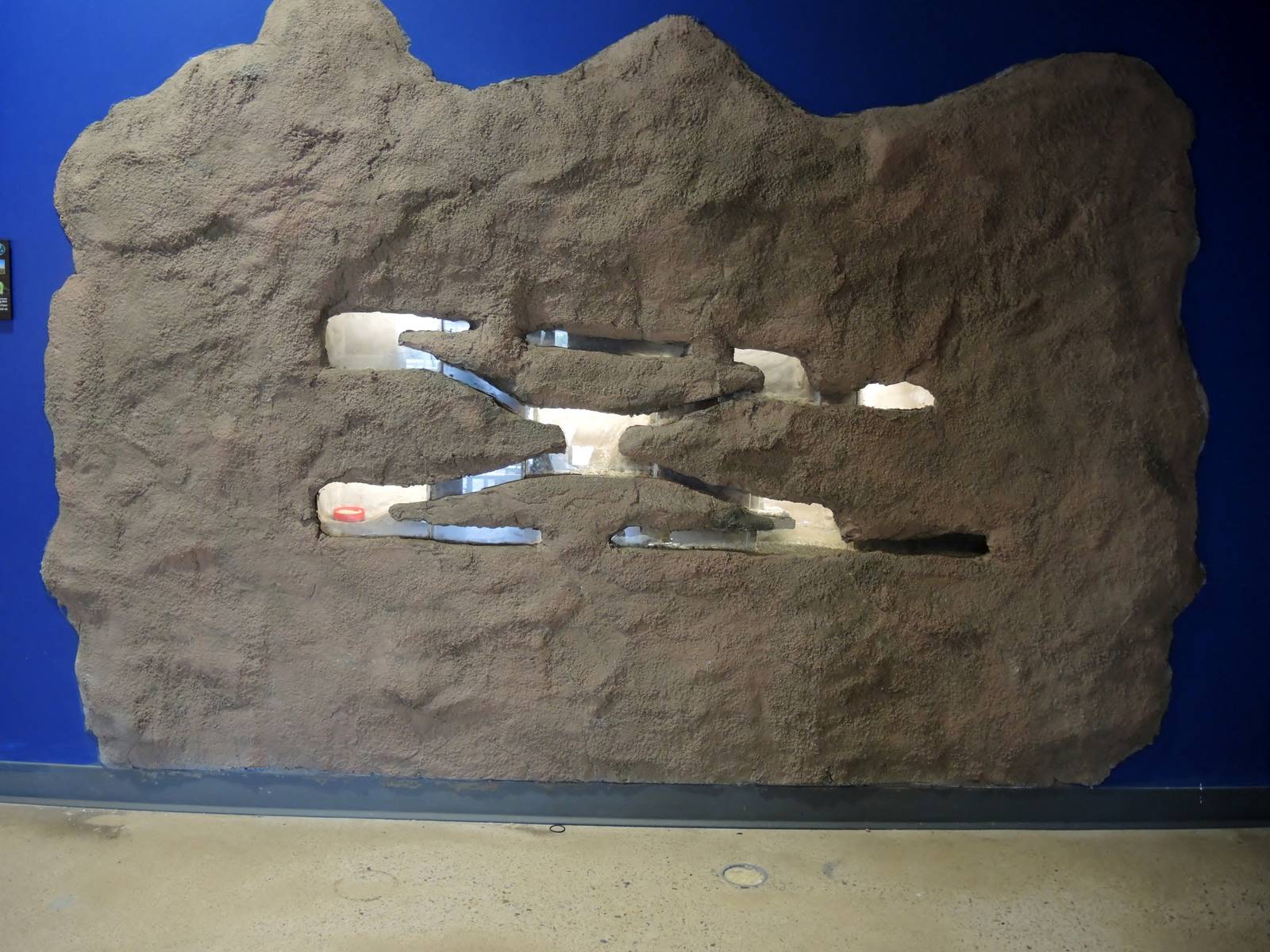 Wild Life Trek - Life in the Desert