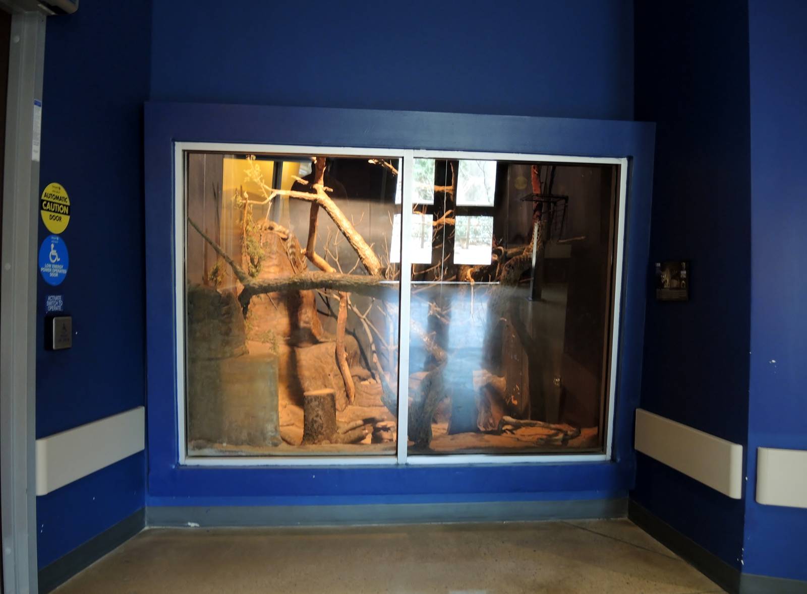 Wild Life Trek - Life in the Desert