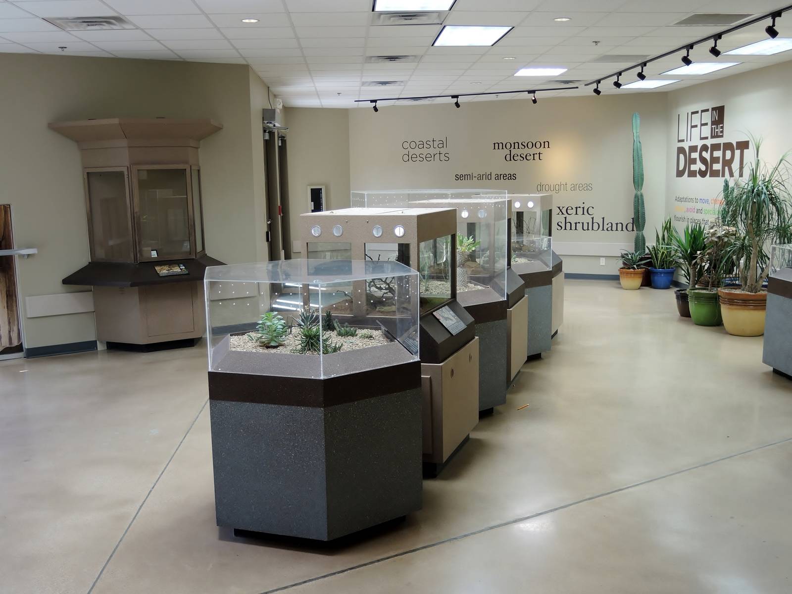 Wild Life Trek - Life in the Desert