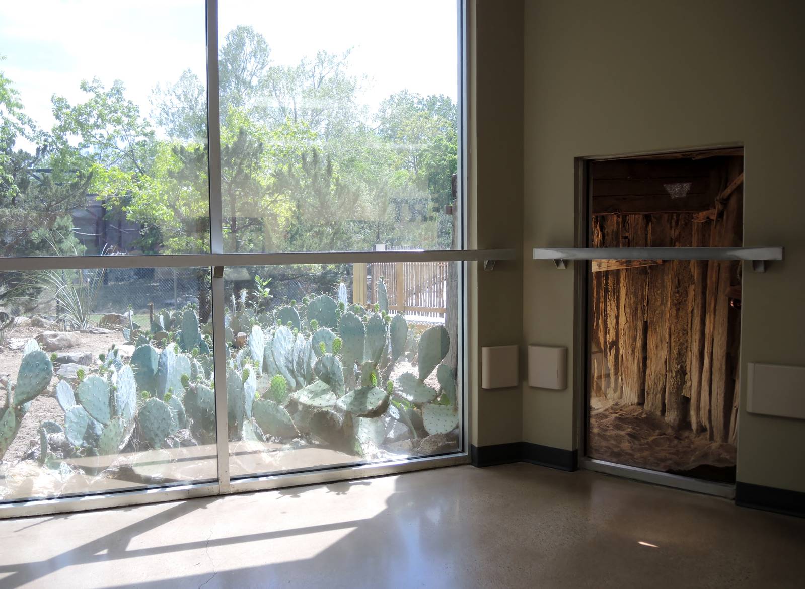 Wild Life Trek - Life in the Desert