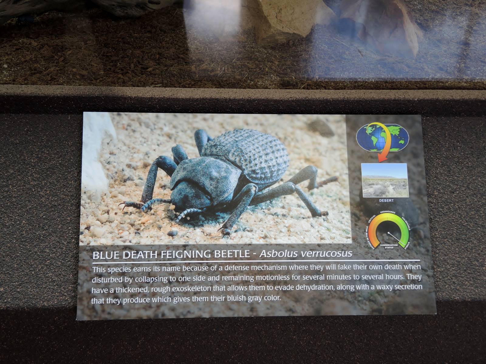 Wild Life Trek - Life in the Desert