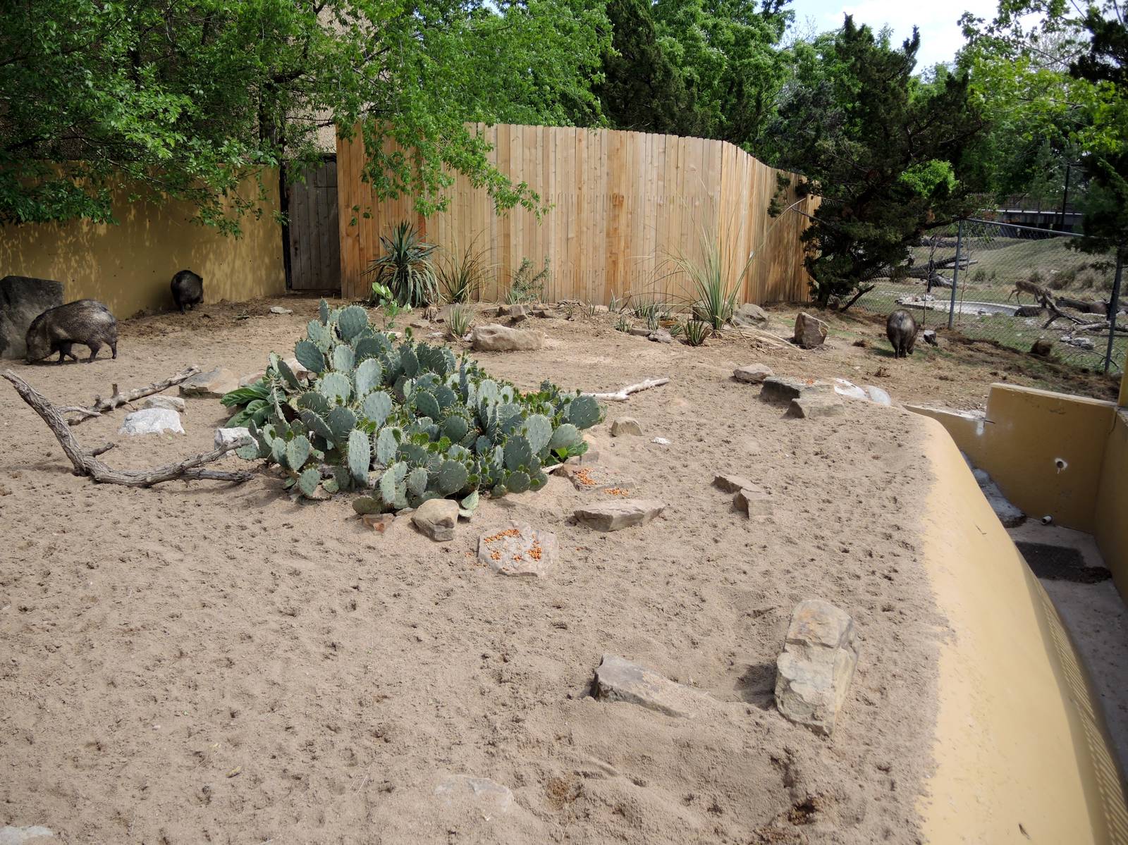 Wild Life Trek - Life in the Desert