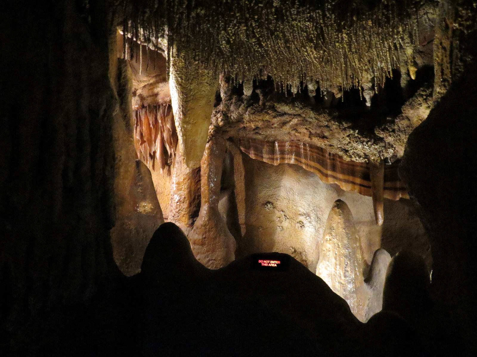 Wild Life Trek - Life in the Forest - Cave Exhibit