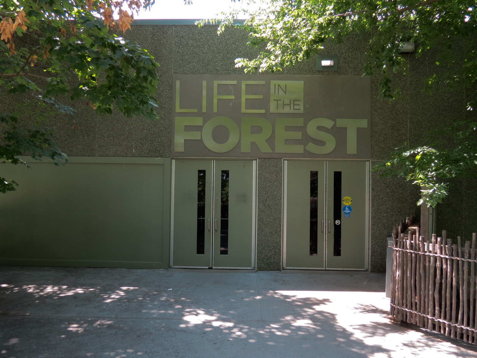 Wild Life Trek - Life In The Forest - Exterior