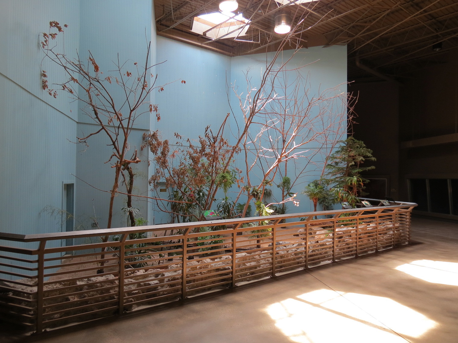 Wild Life Trek - Life In The Forest - Walk-through Aviary Room