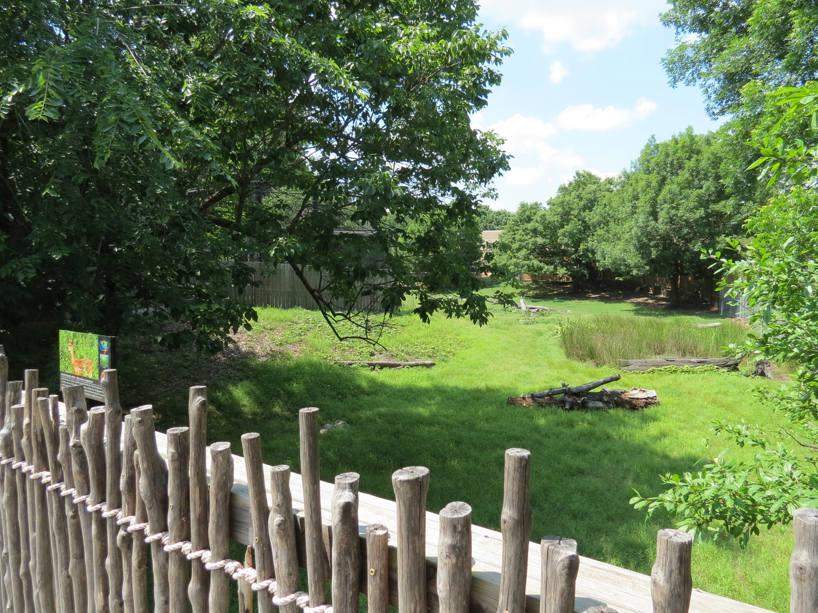Wild Life Trek - Life in the Forest - White-tailed Deer Exhibit