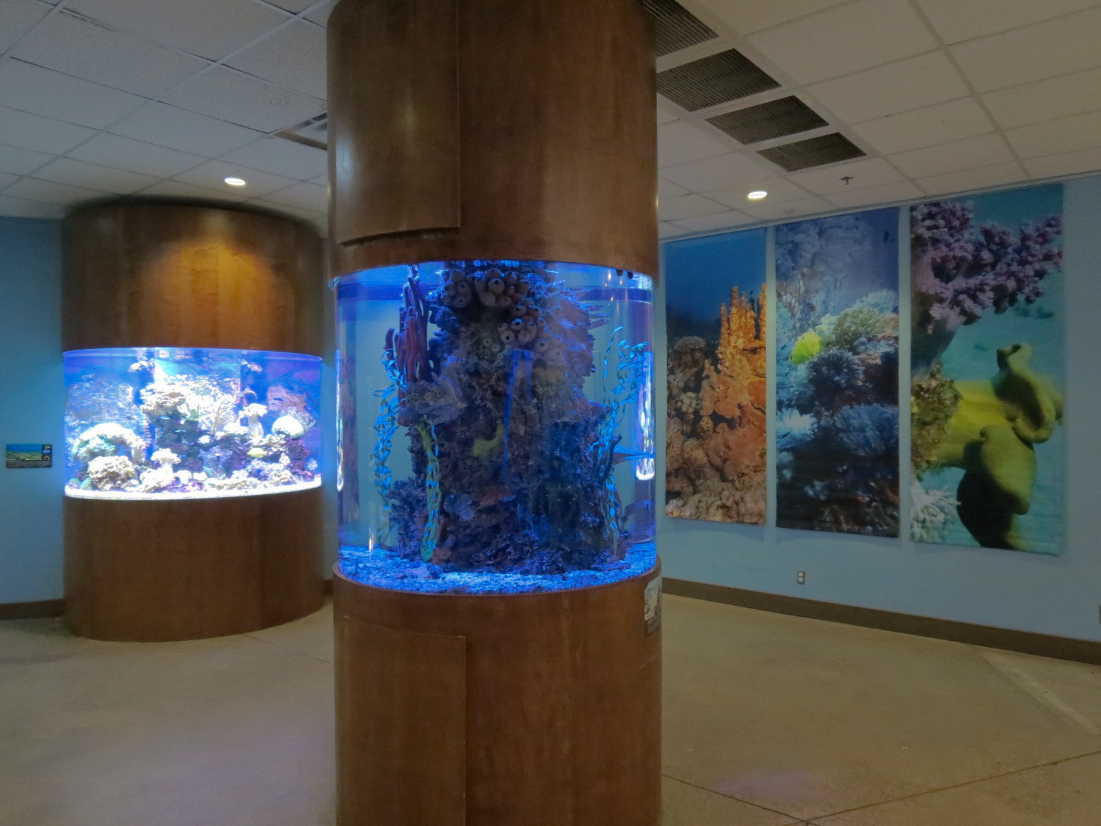 Wild Life Trek - Life in the Water - Aquarium Exhibits