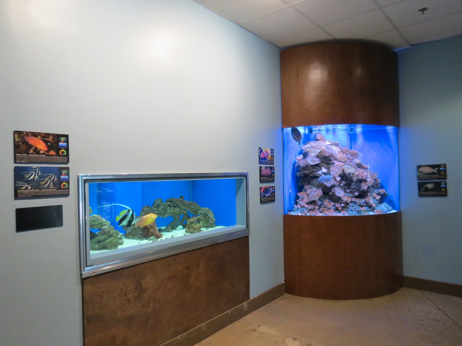 Wild Life Trek - Life in the Water - Aquarium Exhibits