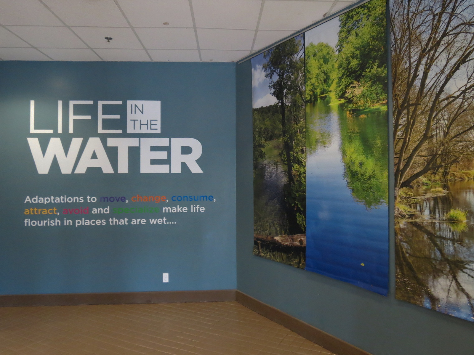Wild Life Trek - Life in the Water - Interior