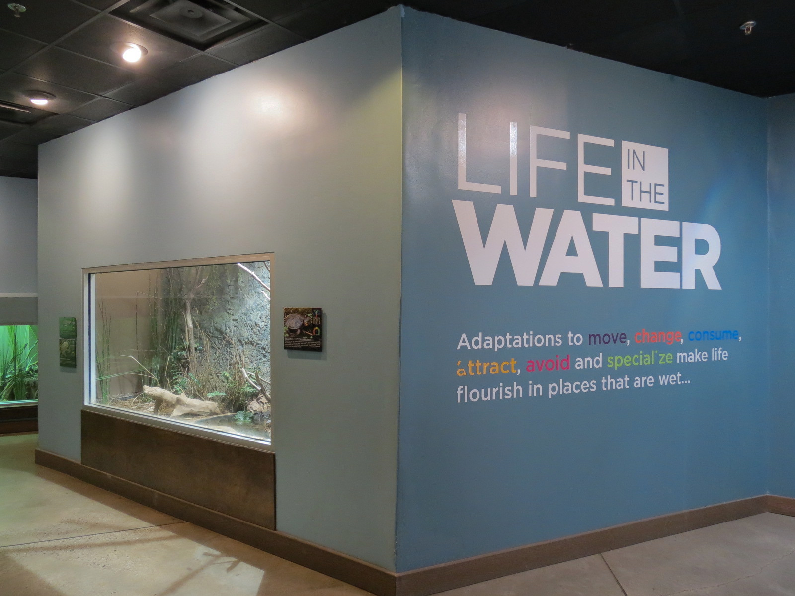 Wild Life Trek - Life In The Water - Interior