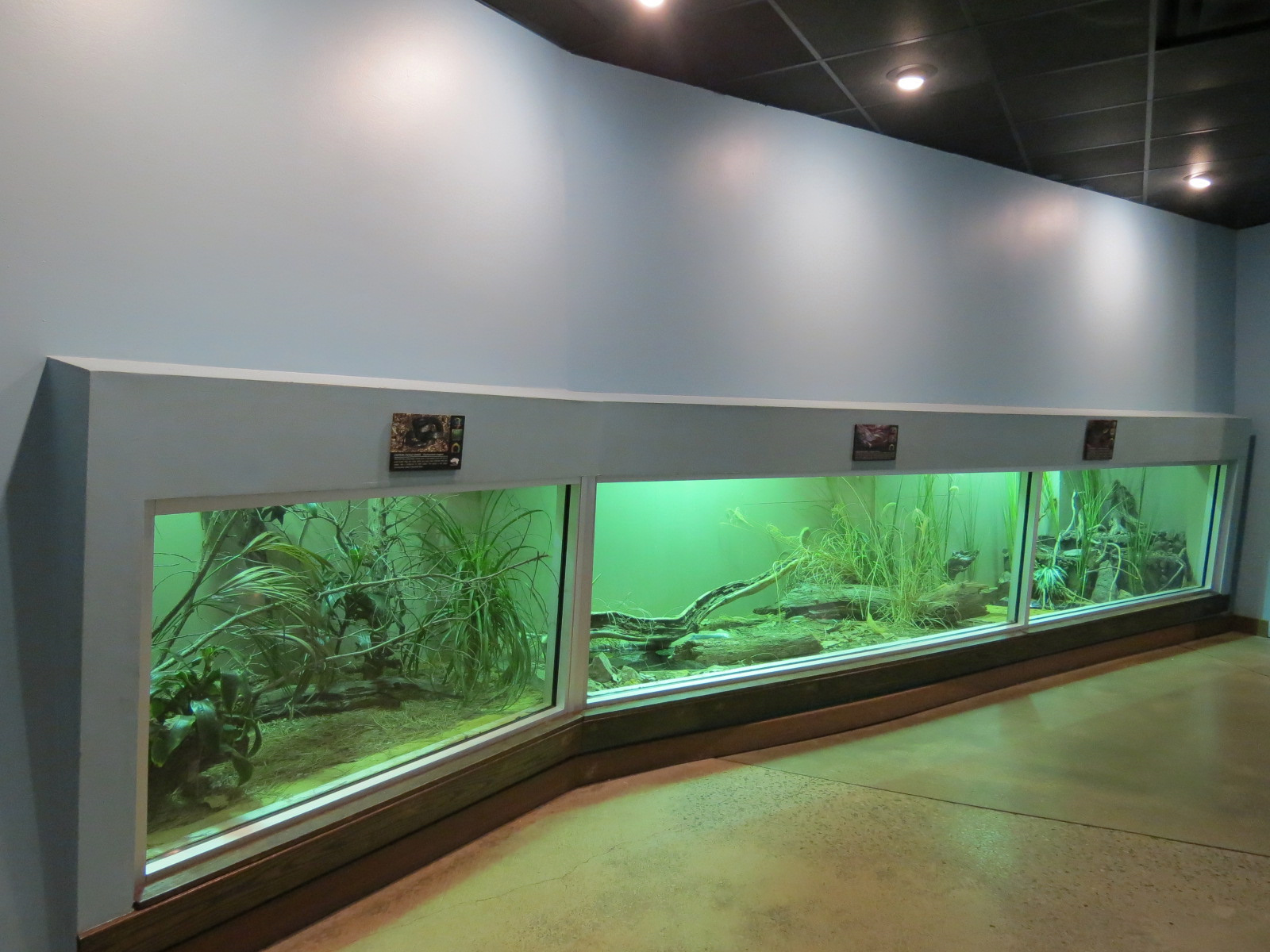 Wild Life Trek - Life In The Water - Reptile Exhibits