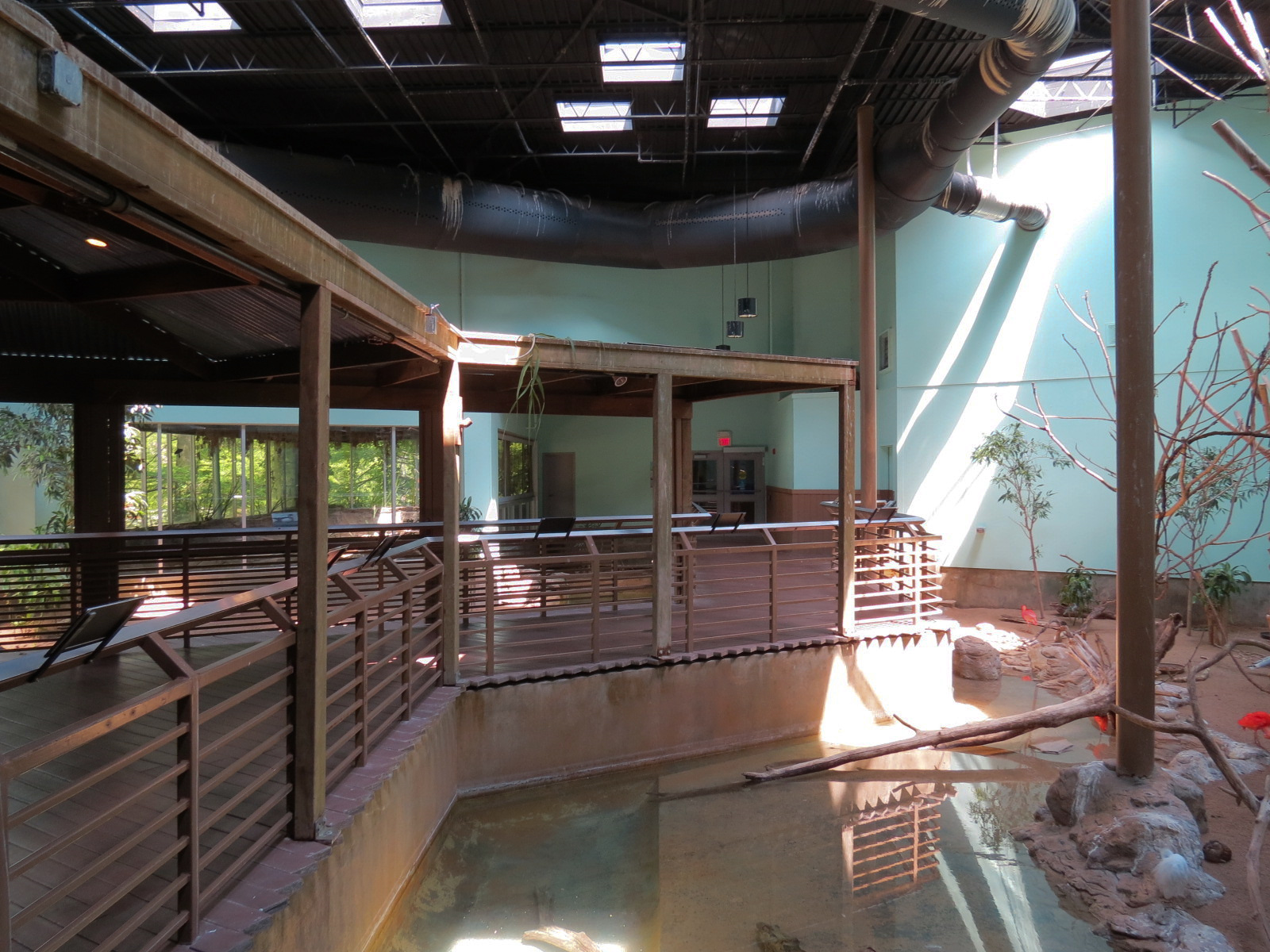 Wild Life Trek - Life in the Water - Walk-through Aviary Room