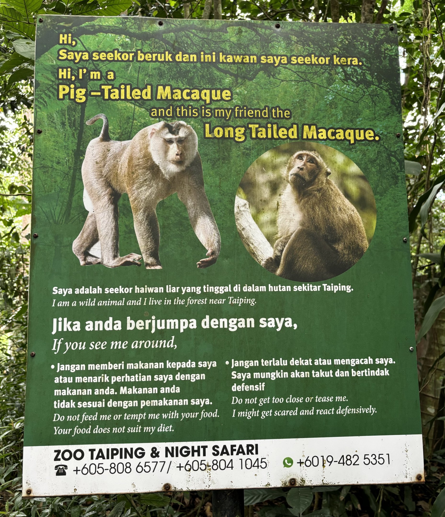 Wild Macaque Sign