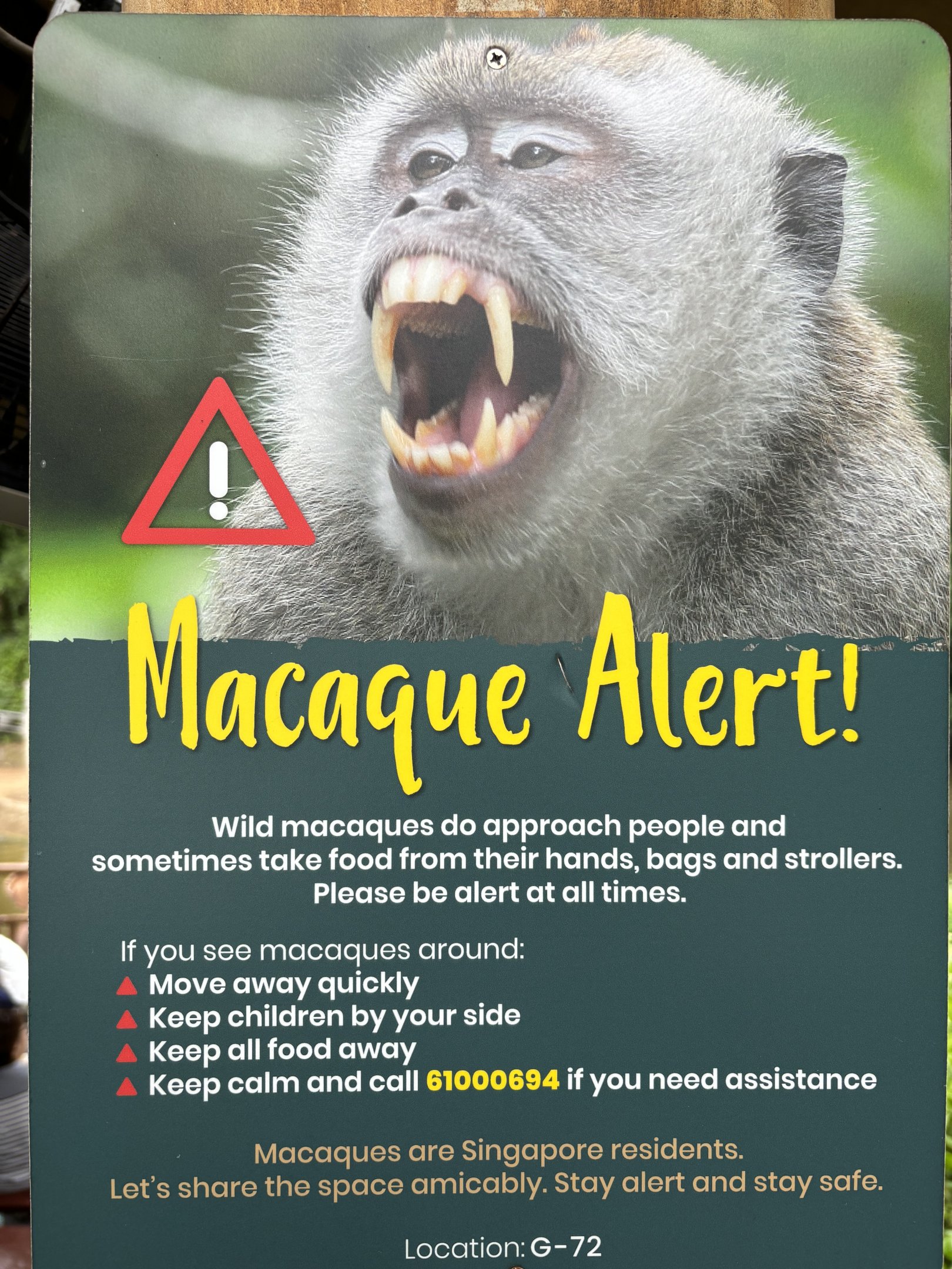 Wild Macaque Sign