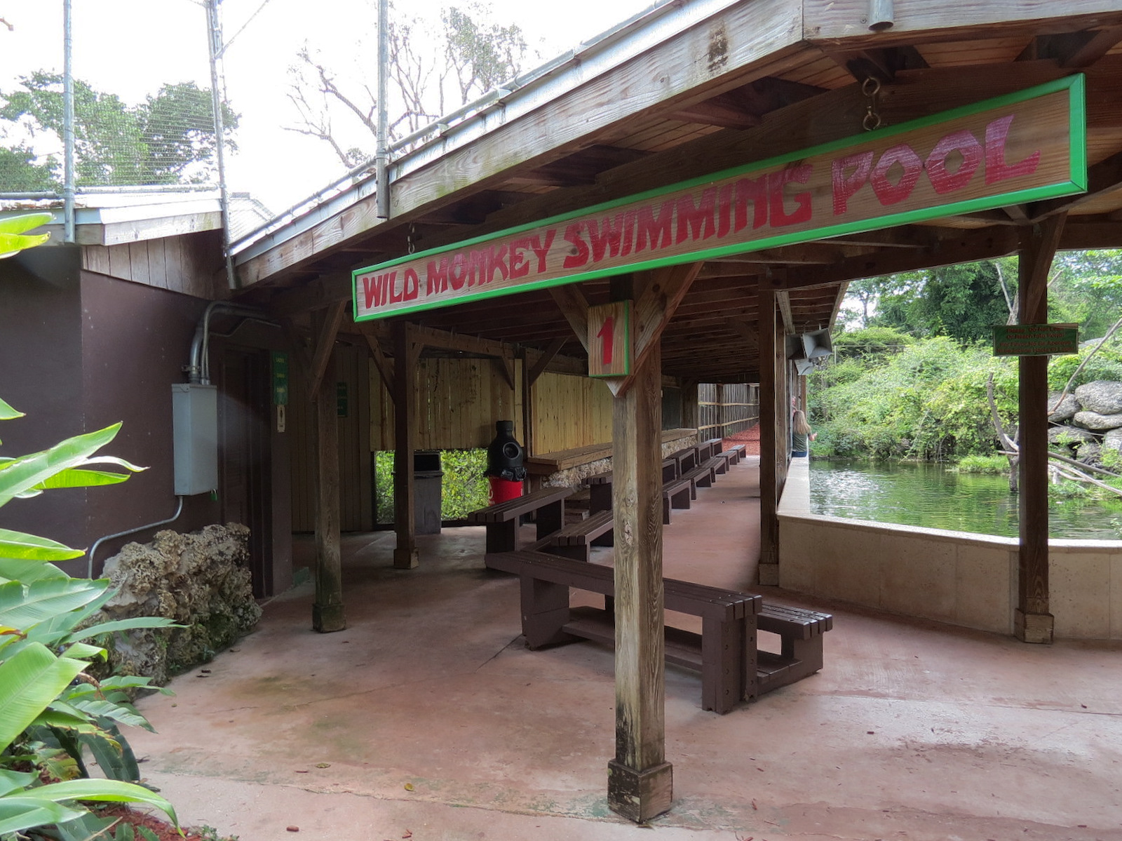 Wild Monkey Swimming Pool (Java Macaque Exhibit) - Viewing Shelter