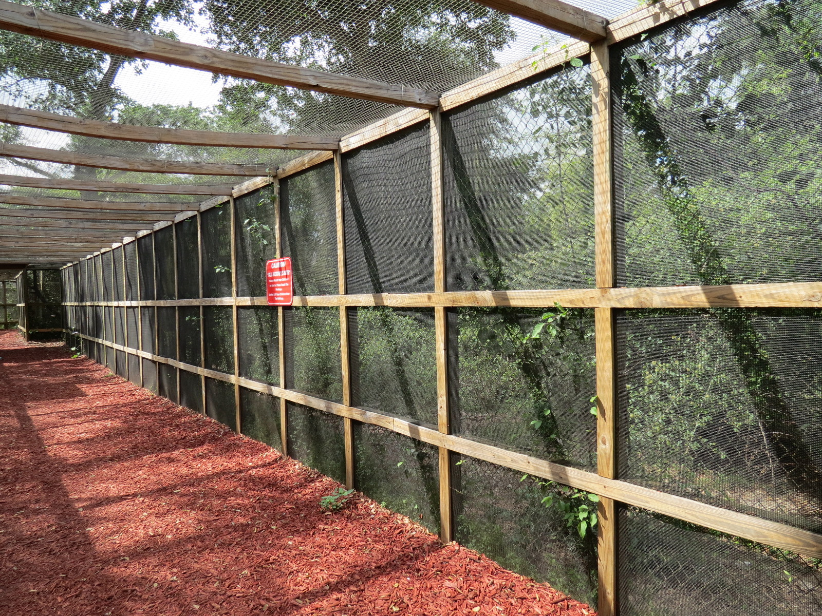 Wild Monkey Swimming Pool (Java Macaque Exhibit) - Visitor Tunnel