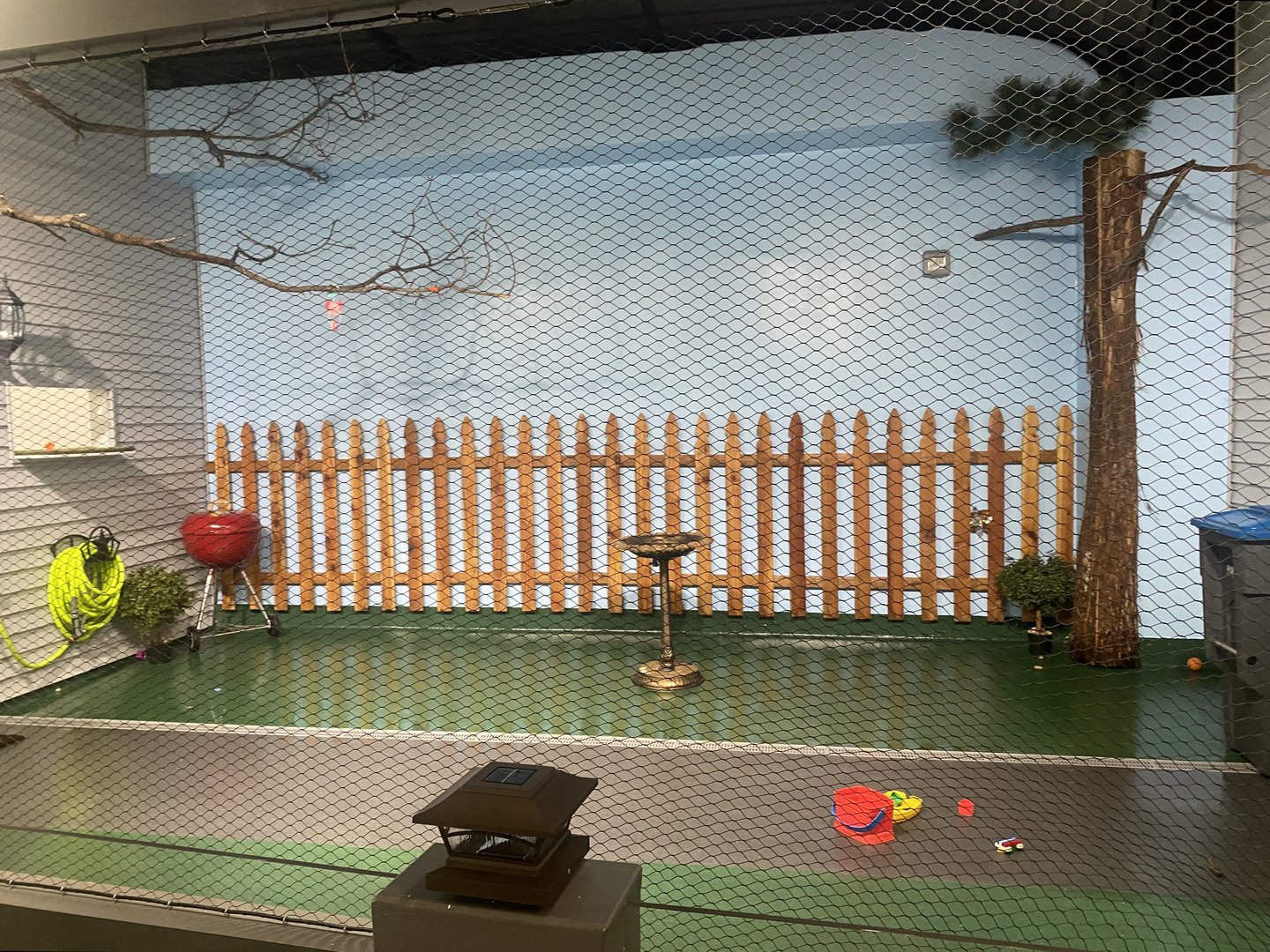 Wild Neighbors - American Crow Exhibit