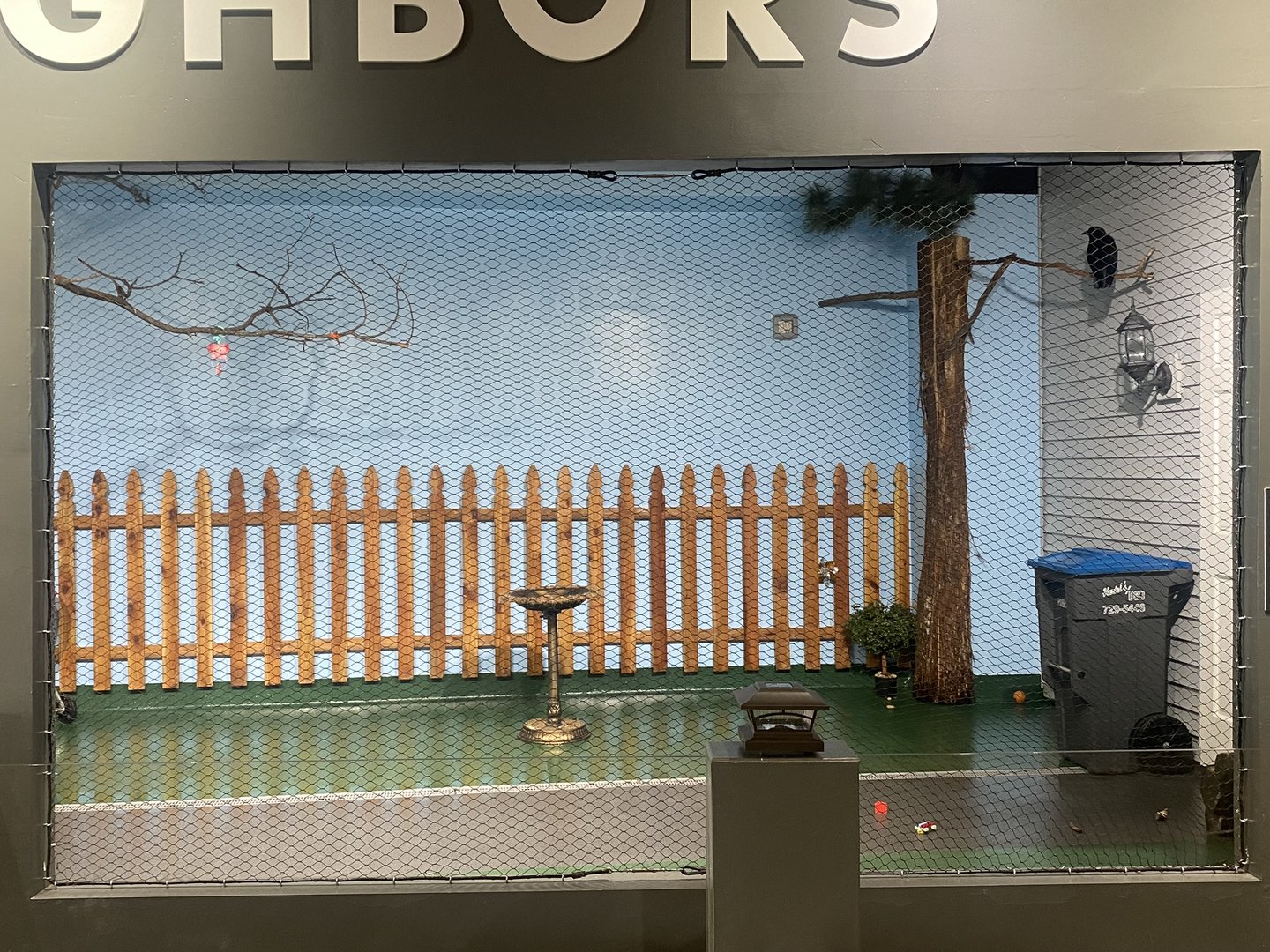 Wild Neighbors - American Crow Exhibit