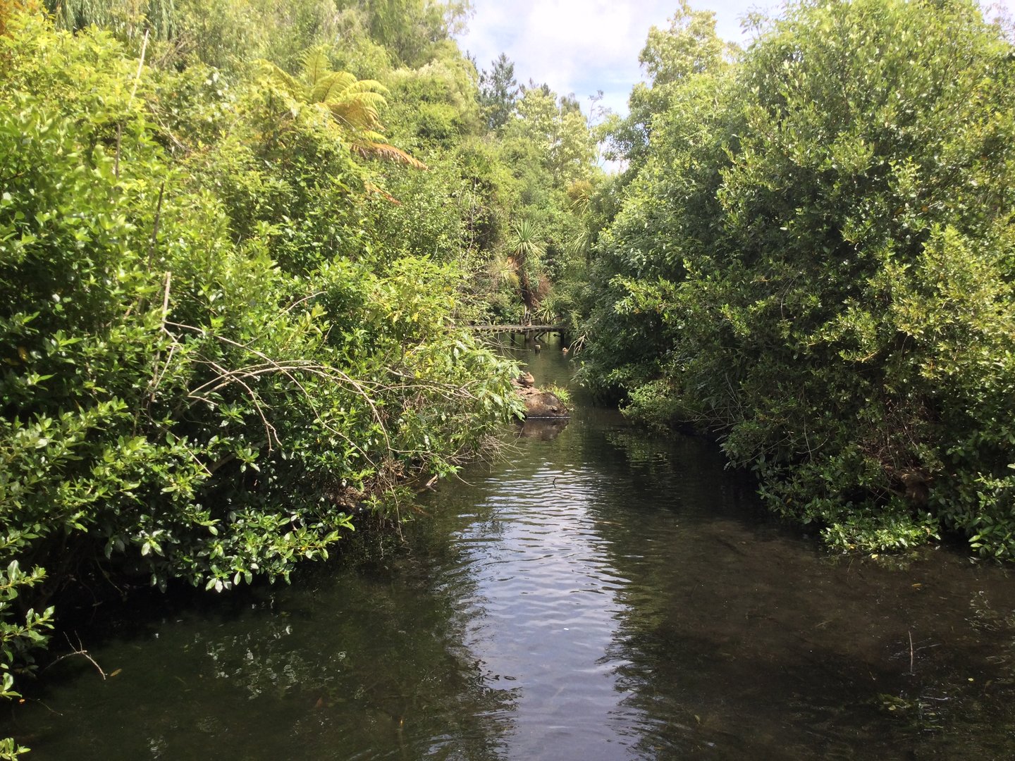 Wild New Zealand Precinct