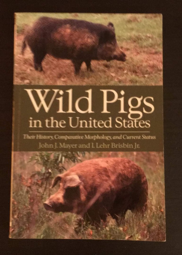 Wild Pigs in the United States Their History, Comparative Morphology, and Current Status