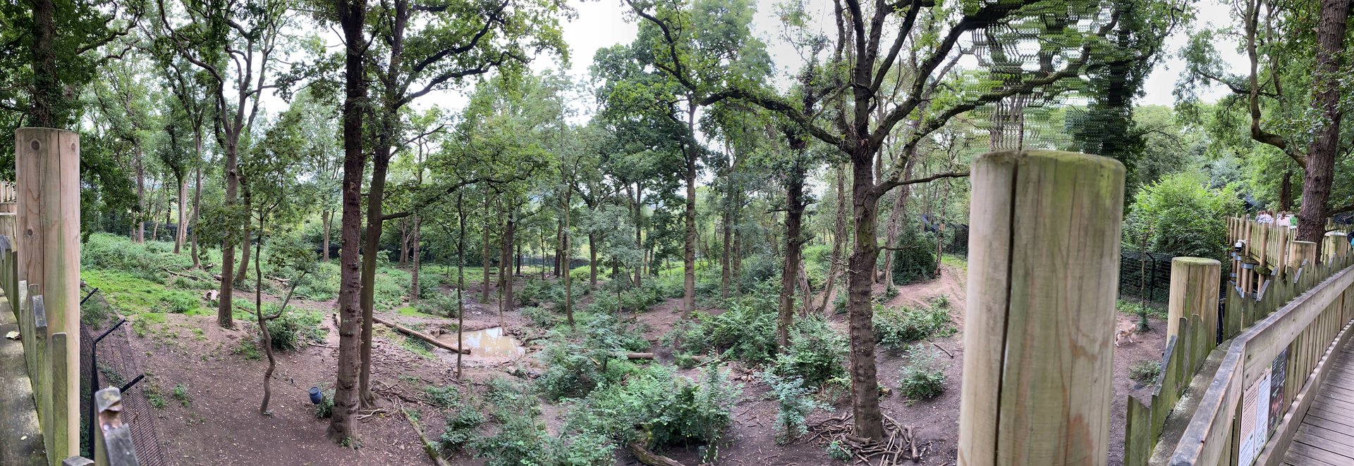 Wild place / Bristol zoo project wolf and bear enclosure, left side, panoramic
