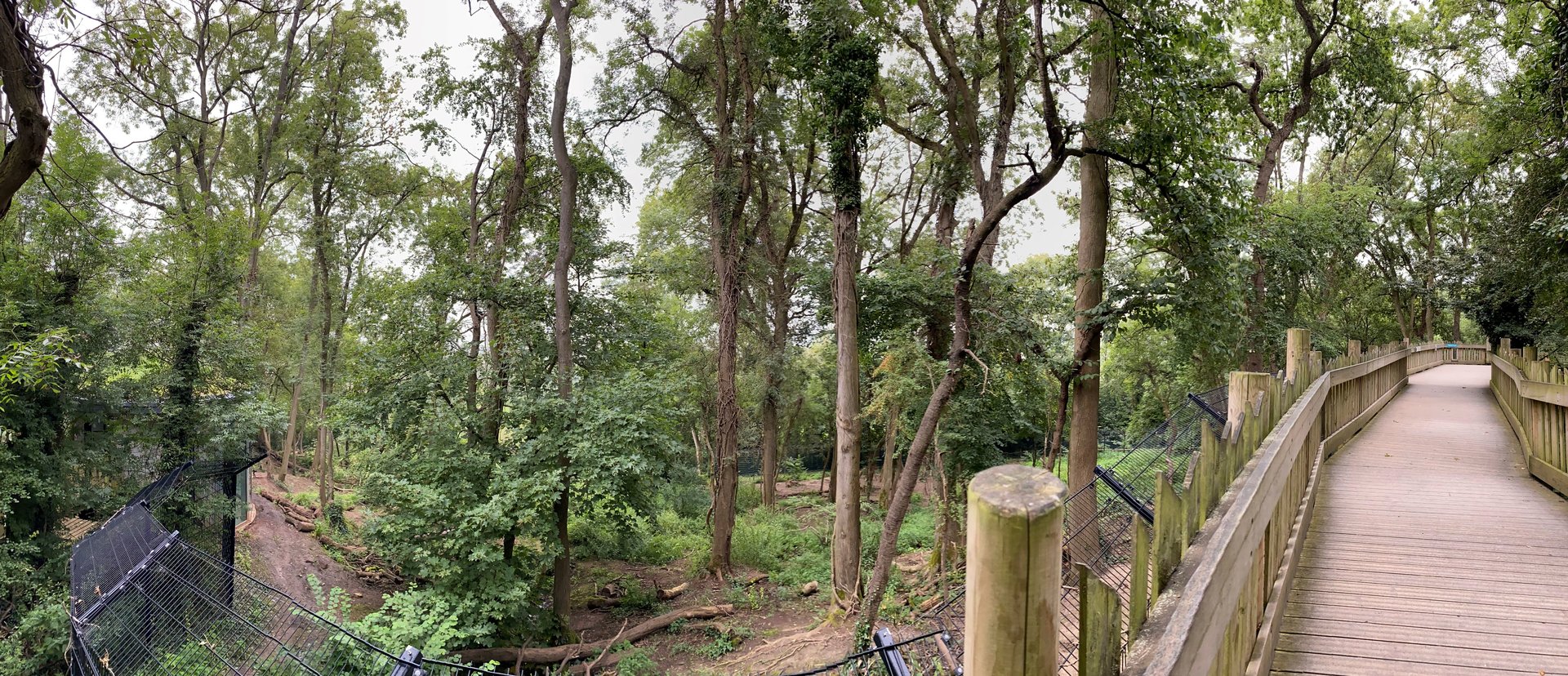 Wild place / Bristol zoo project wolf and bear enclosure, right side, panoramic