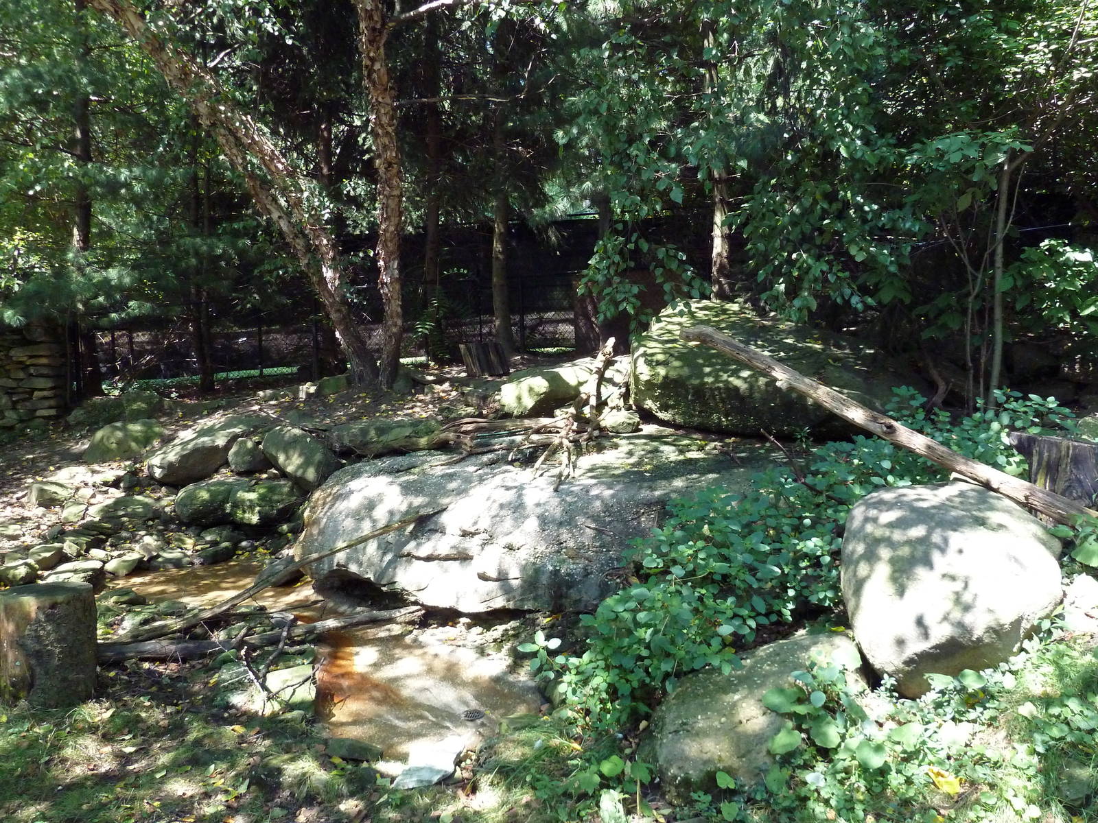 Wild Prairie - Bald Eagle Exhibit