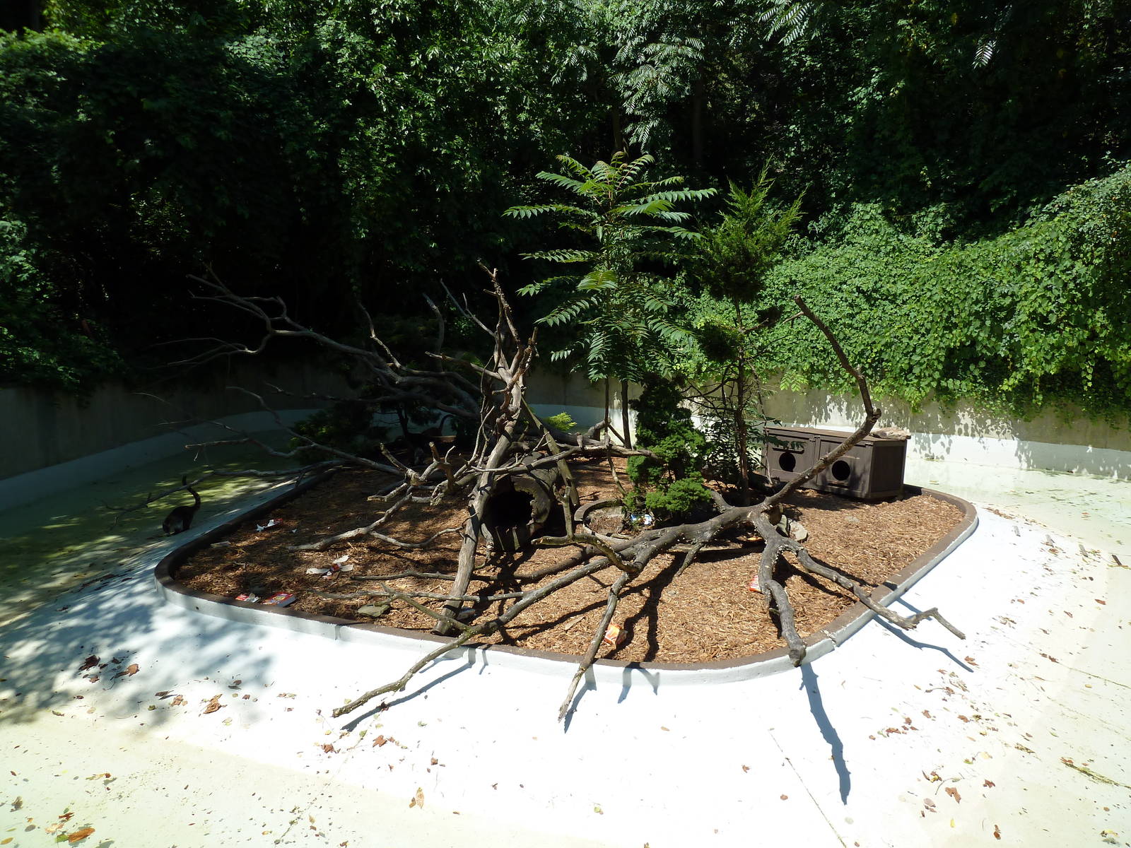 Wild Prairie - Coati Exhibit