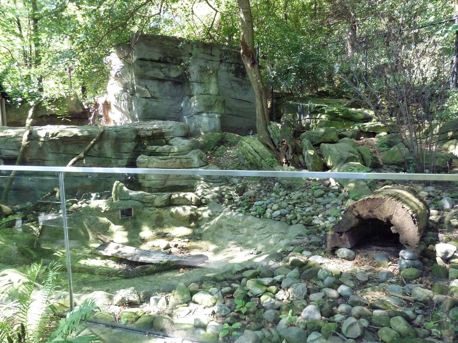 Wild Prairie - River Otter Exhibit
