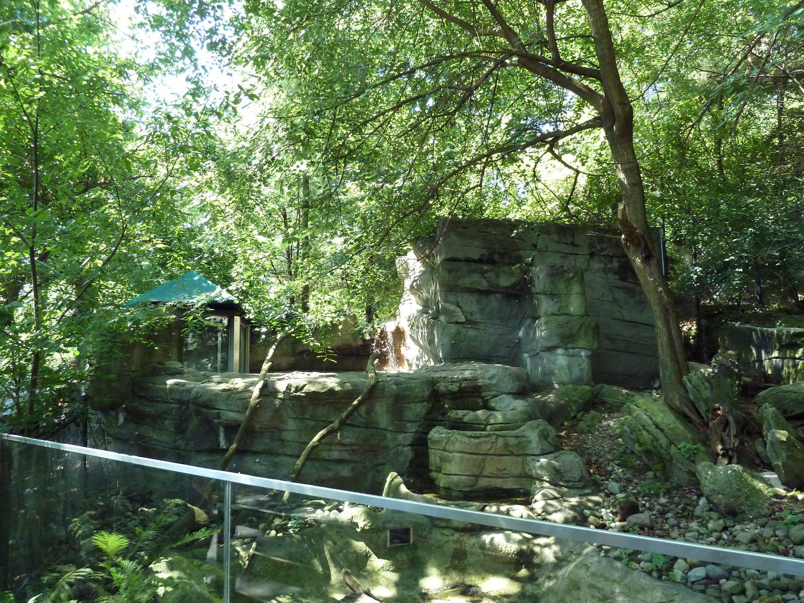 Wild Prairie - River Otter Exhibit