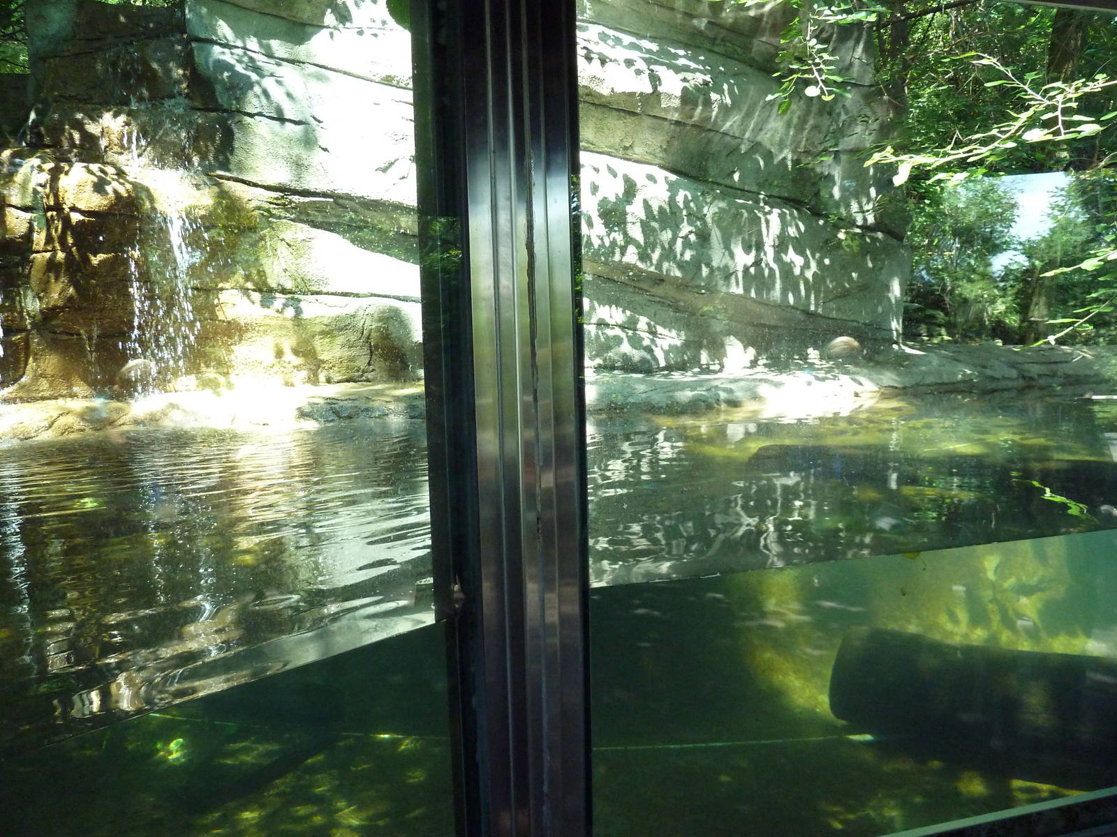 Wild Prairie - River Otter Exhibit