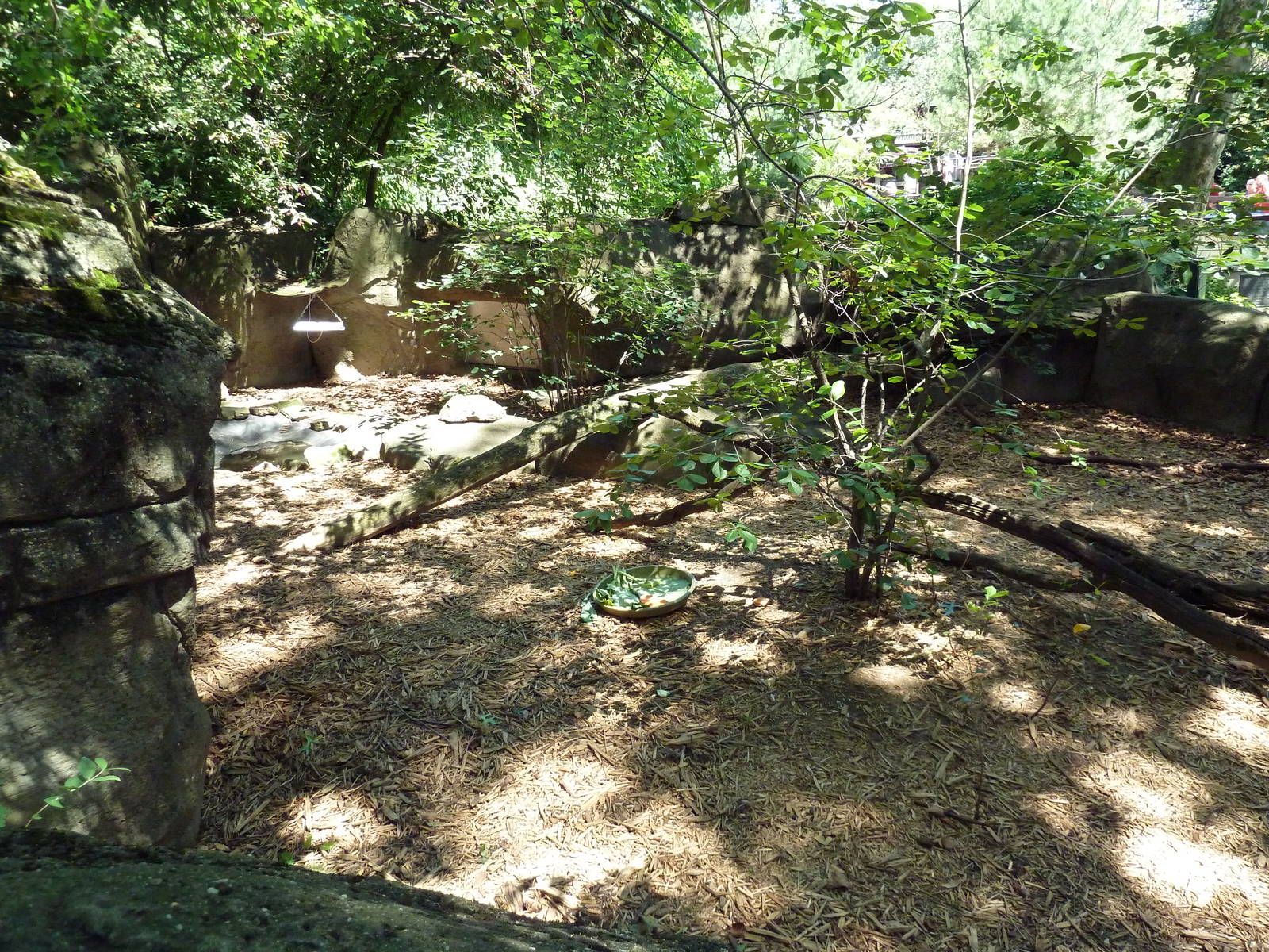 Wild Prairie - Spur-Thighed Tortoise Exhibit