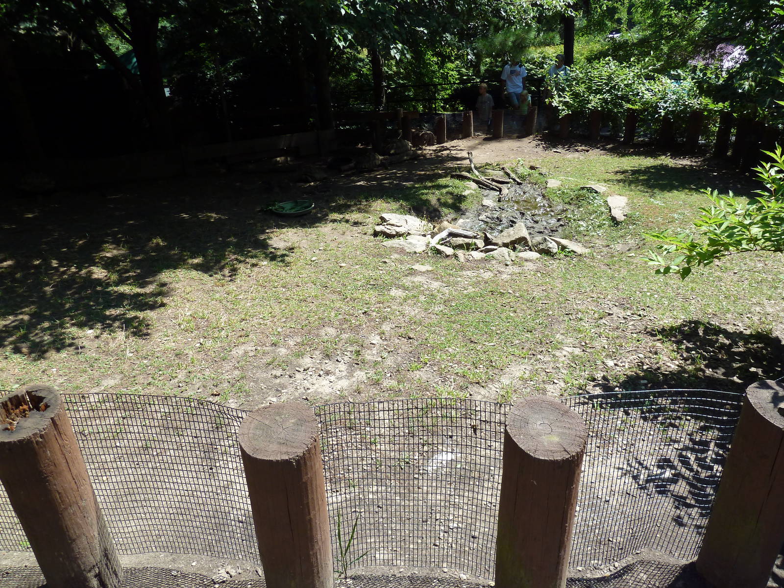 Wild Prairie - Spur-Thighed Tortoise Exhibit