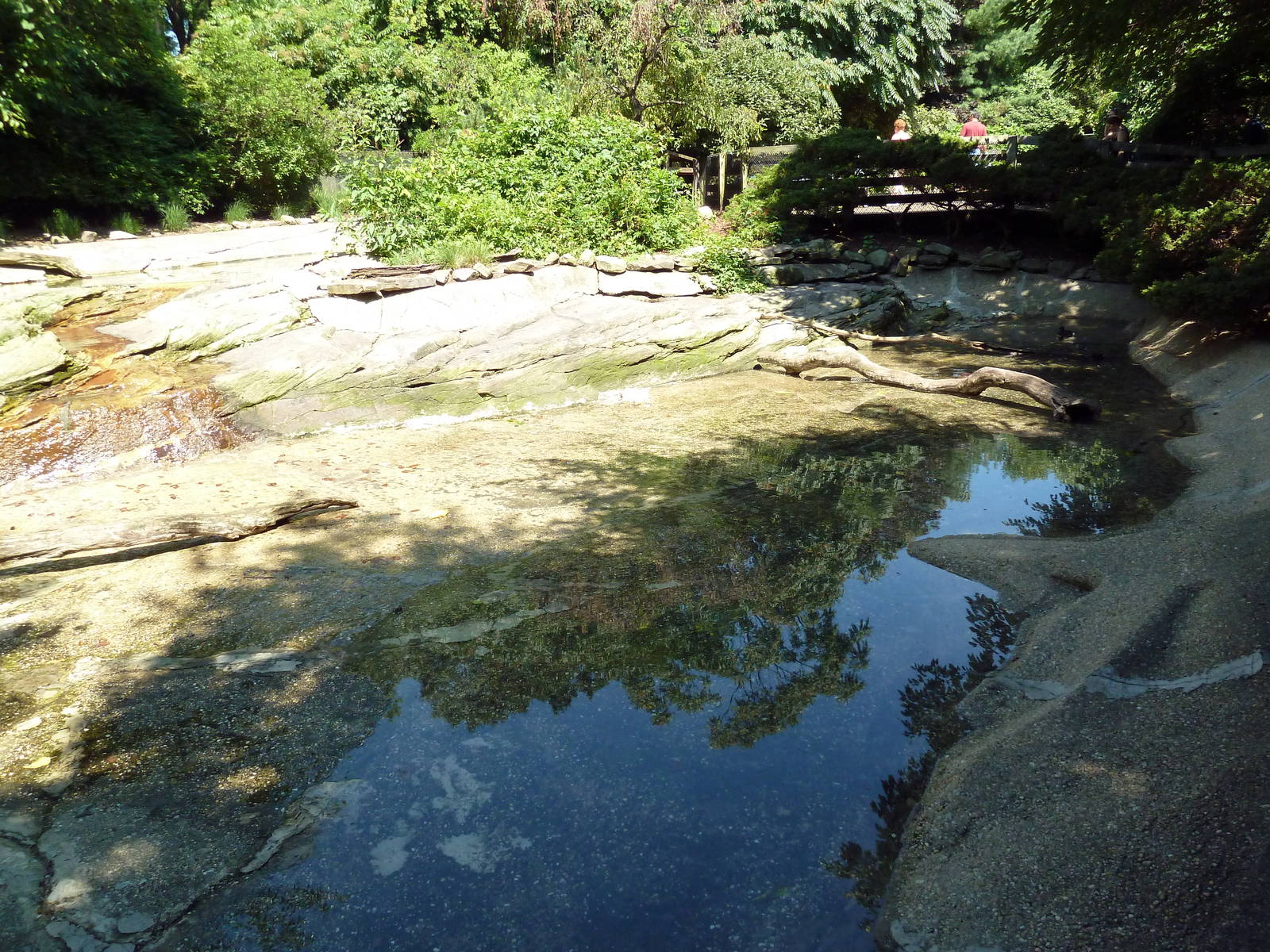 Wild Prairie - Waterfowl Exhibit