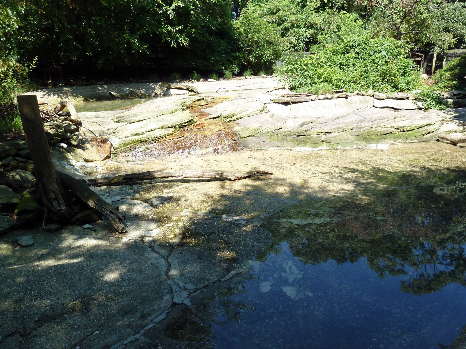 Wild Prairie - Waterfowl Exhibit