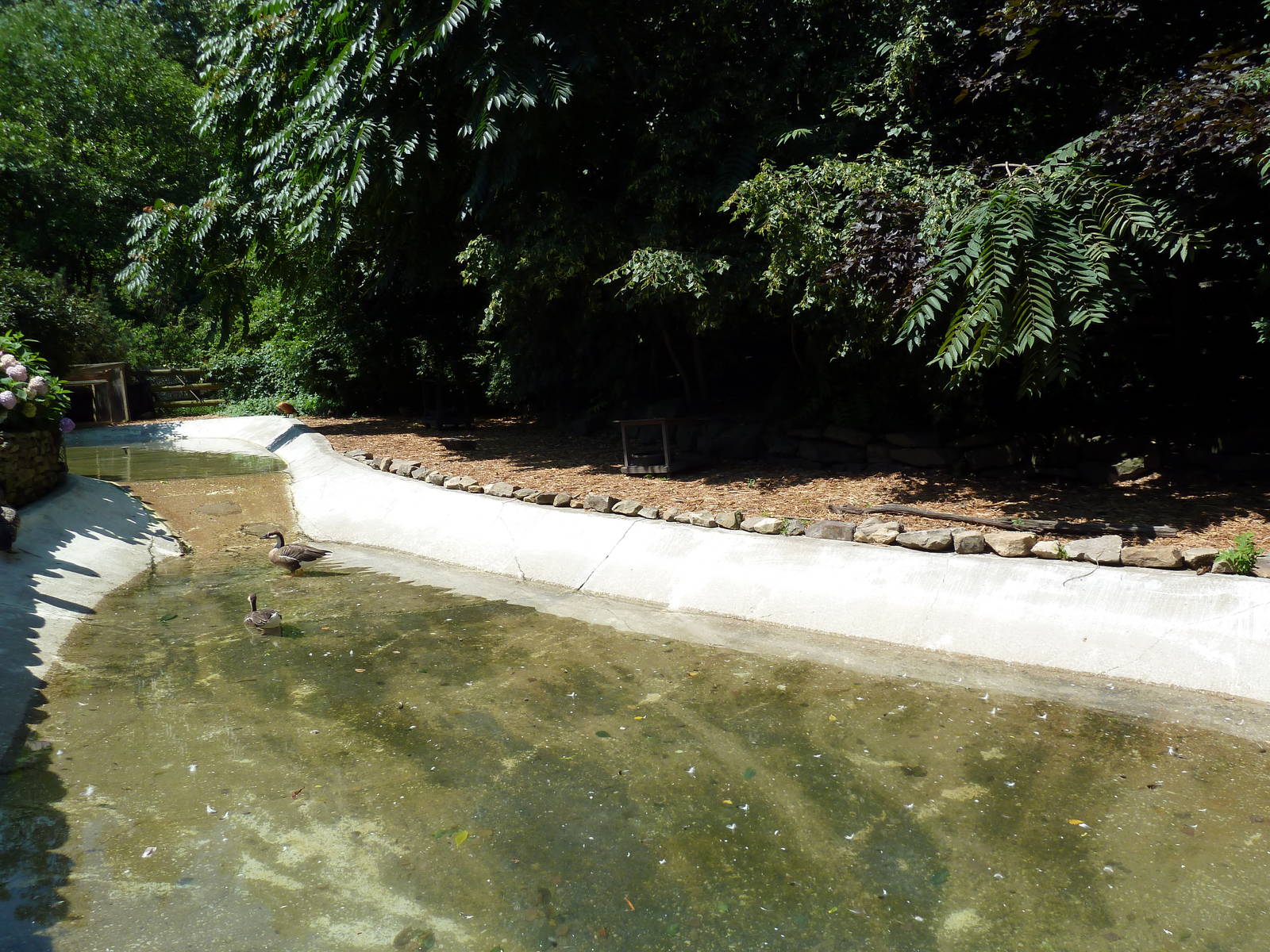 Wild Prairie - Waterfowl Exhibit