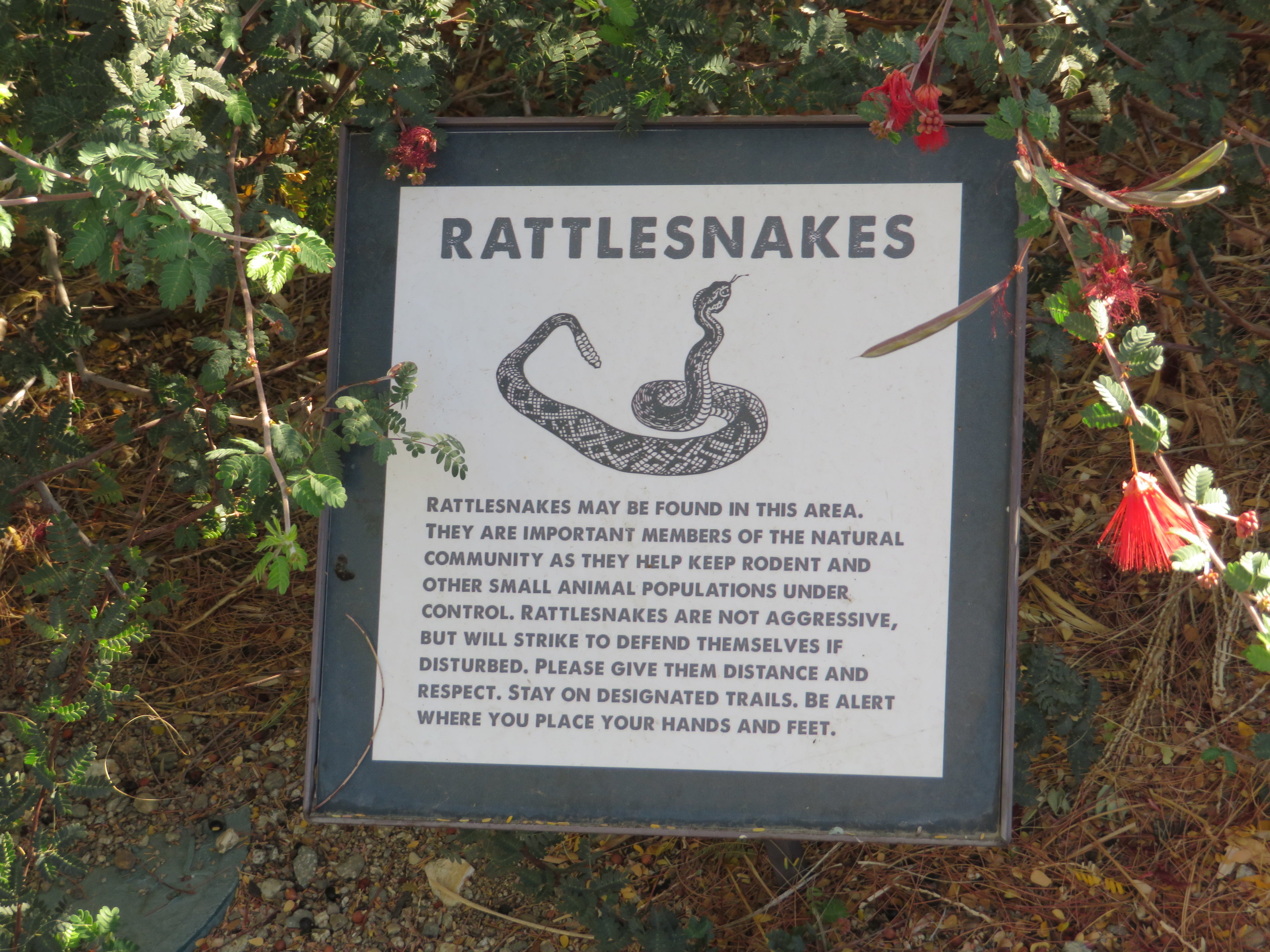 Wild Rattlesnake Signage