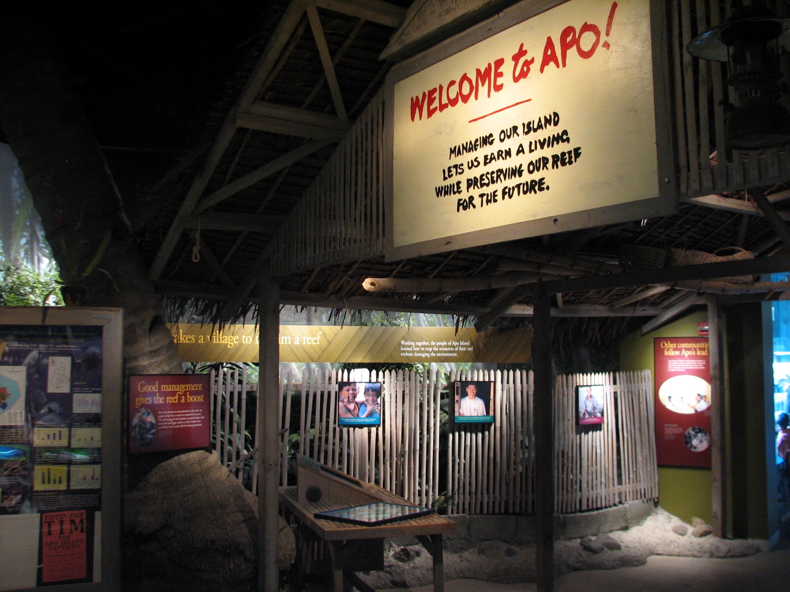 Wild Reef - Apo Management Display