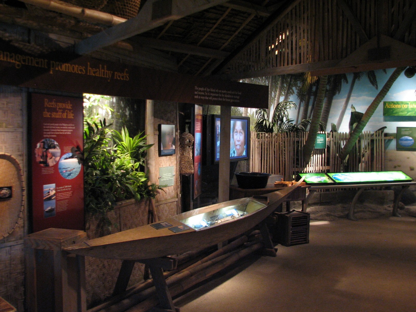 Wild Reef - Apo Management Display