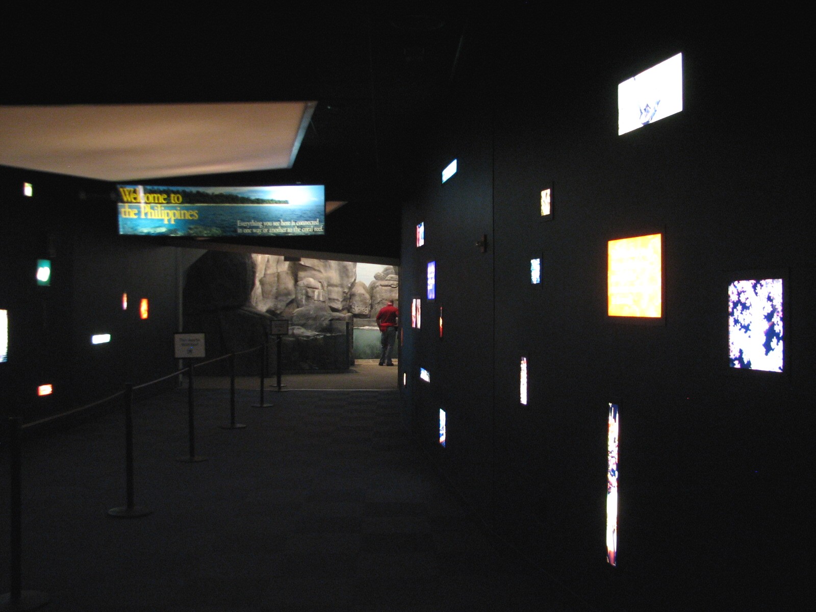 Wild Reef - Entry Hall