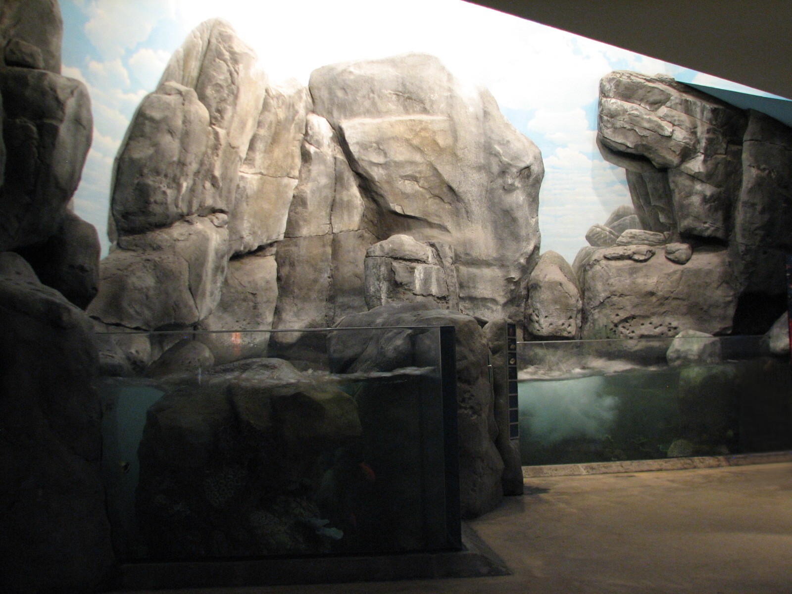 Wild Reef - Shoreline Surf Exhibit