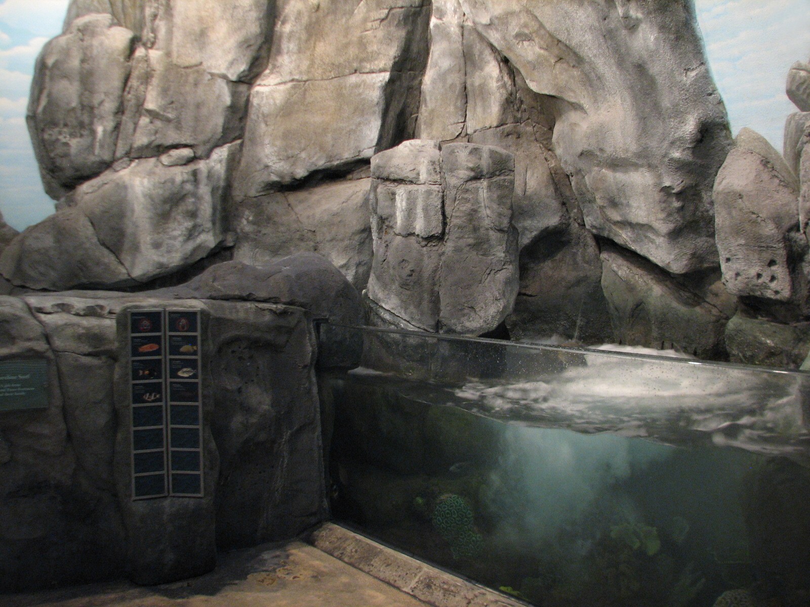 Wild Reef - Shoreline Surf Exhibit