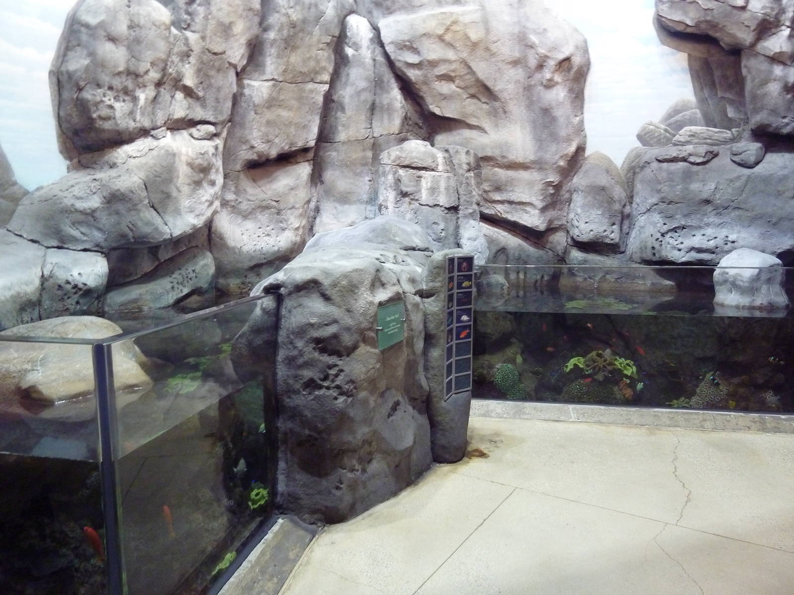 Wild Reef - Shoreline Surf Exhibit