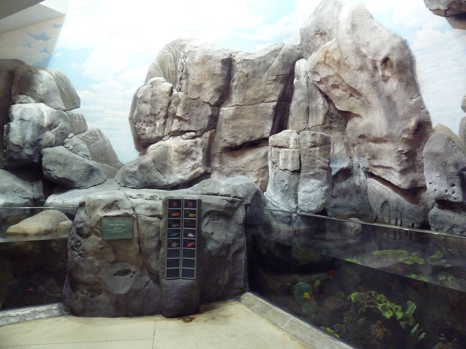 Wild Reef - Shoreline Surf Exhibit