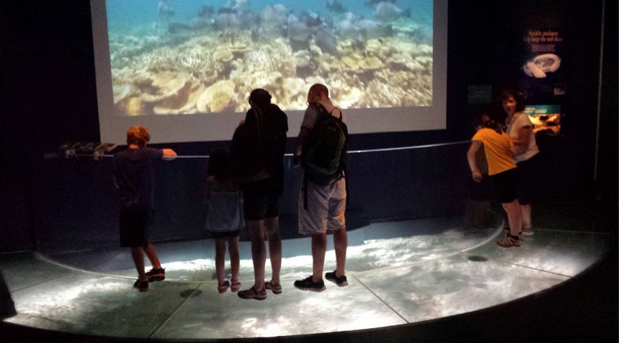 Wild Reef - Stingray Way