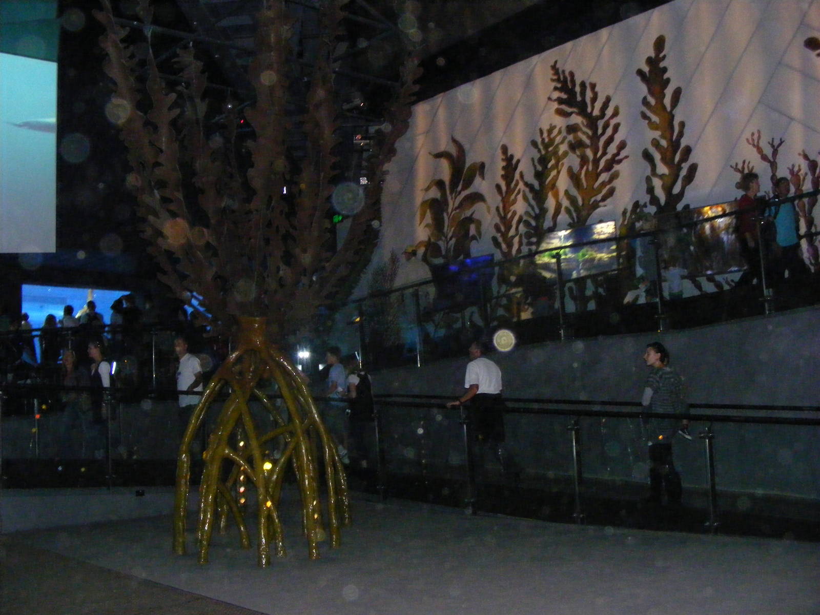 Wild Sea - January, 2010