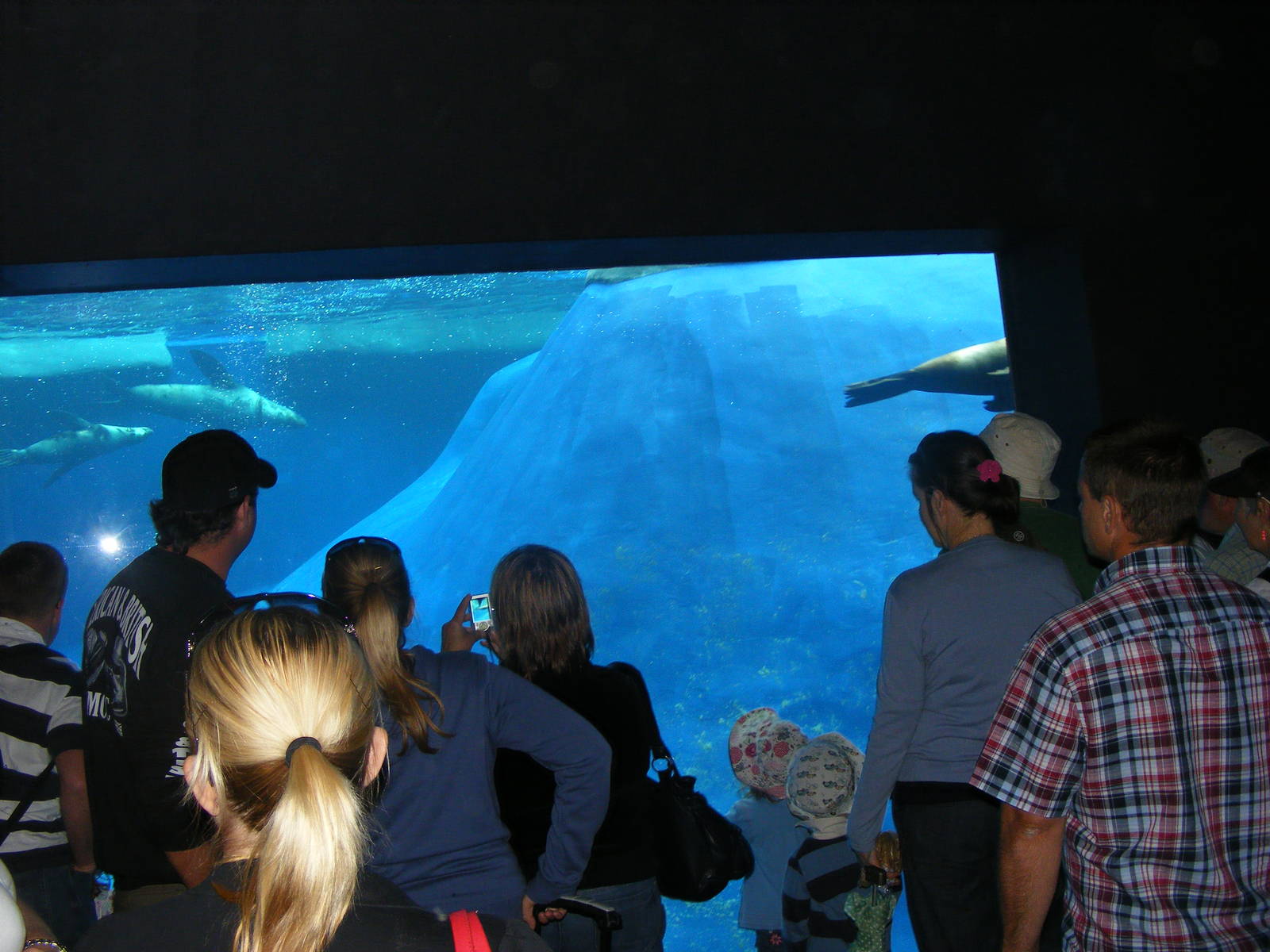 Wild Sea - January, 2010