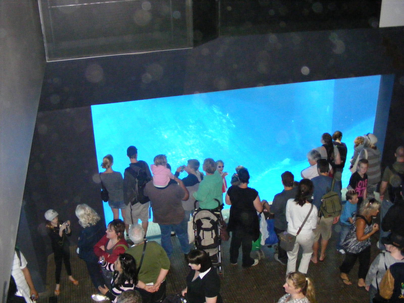 Wild Sea - January, 2010