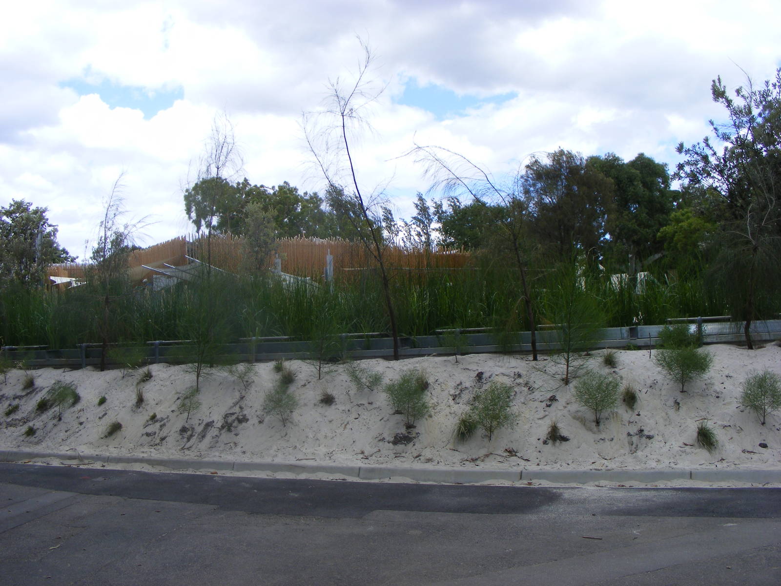 Wild Sea - January, 2010