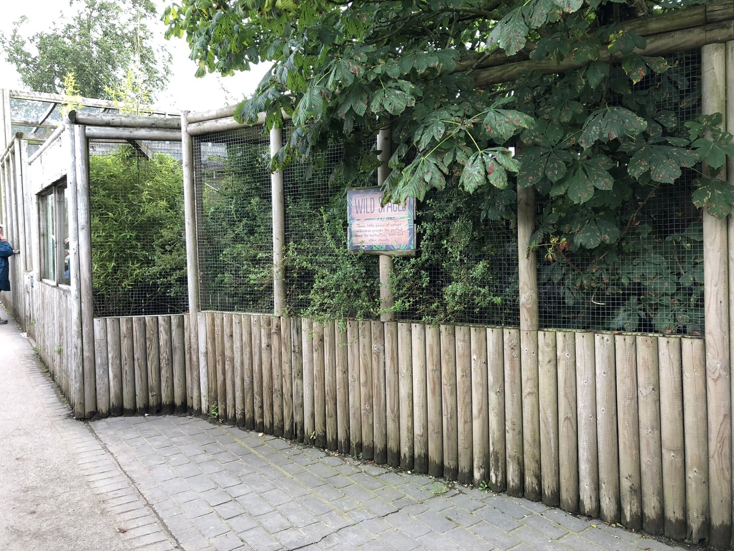 Wild Spaces at Peak Wildlife Park (August 2023)